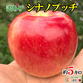 9月下旬〜10月上旬　小玉　シナノプッチ りんご 減農薬 長野県産 約4.5キロ　レビューを書いたら200円クーポン