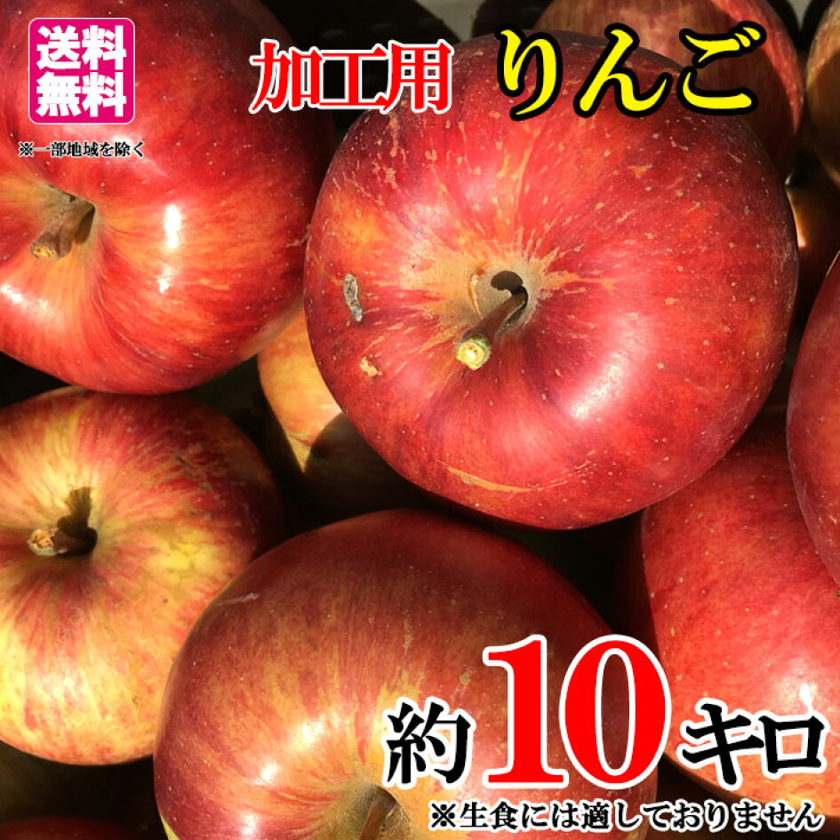 信州安曇野　摘果りんご（加工用）約10キロ　減農薬栽培・除草剤不使用㊴生食不可