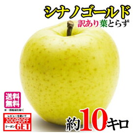 10月中旬〜下旬　シナノゴールド　りんご　訳あり 減農薬 10キロ　レビューを書いたら200円クーポン