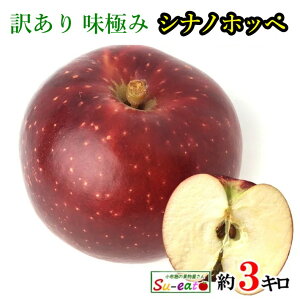 10{@Vimzby@󂠂  _ 쌧Y 3L@r[200~N[|