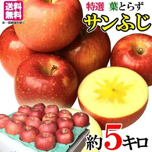 I@Tӂ@񂲁@_ 쌧Y 5L