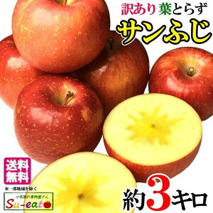 Tӂ@󂠂@tƂ炸  _ 쌧Y 3L@r[200~N[|