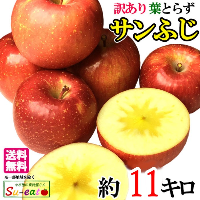 葉とらずりんご サンふじ 訳あり りんご 減農薬 長野県産 11キロ レビューを書いたら200円クーポン