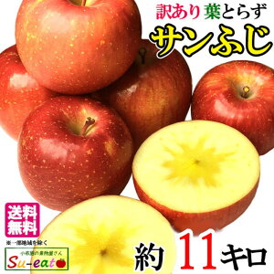 11{`{@Tӂ@󂠂@ _ 쌧Y@11L@r[200~N[|