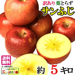 11{`{@Tӂ@󂠂  _ 쌧Y 5L@r[200~N[|