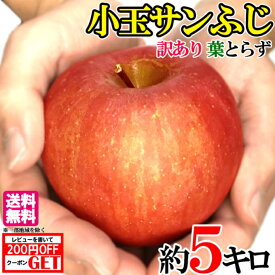 小玉サンふじ　訳あり 葉とらず 味極み りんご 減農薬 長野県産 5キロ