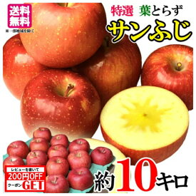 12月 特選 サンふじ りんご　減農薬 長野県産　10キロ