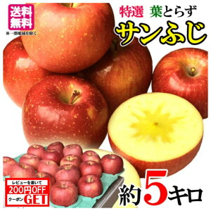 12@I@Tӂ@_ 쌧Y 5L@r[200~N[|