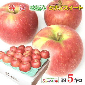 10月　特選　シナノスイート　りんご　減農薬 長野県産 5キロ　レビューを書いたら200円クーポン