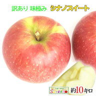 10月上旬〜中旬　シナノドスイート　葉とらず　訳あり　りんご　減農薬 長野県産　10キロ