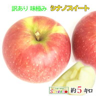 10月上旬〜中旬　シナノスイート　訳あり 葉とらずりんご 減農薬 長野県産 5キロ