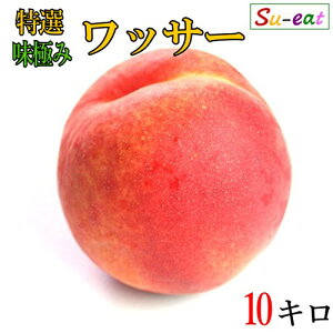 8����{�`���{�@���I�@���b�T�[ �� ���_�� ���쌧�Y 10�L��