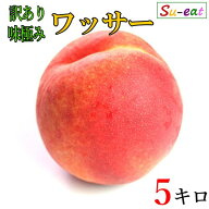 8月下旬　ワッサー 桃 訳あり　減農薬 長野県産　5キロ