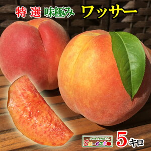 8����{�`���{�@���I ���b�T�[ �� ���_�� ���쌧�Y 5�L��