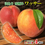 7月下旬〜8月上旬　ワッサー 桃 訳あり　減農薬 長野県産　4キロ