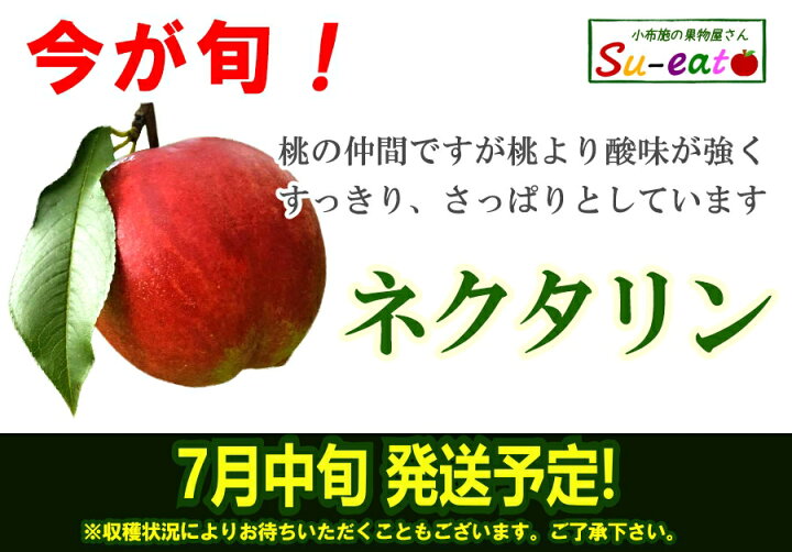 楽天市場】本日限定10%OFF 7月中旬〜下旬 ネクタリン サマークリスタル 