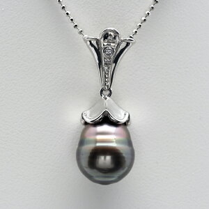 �v���`�i900 �^�q�`�^�� �y���_���g�g�b�v 12mm up/�u���b�N�n�s�[�R�b�N�O���[�� ���� �^�q�`�p�[�� ��Ԃ� �傫�� �A���e�B�[�N�� ���i�g�� �t�H�[�}�� �M�t�g �v���[���g ���{��