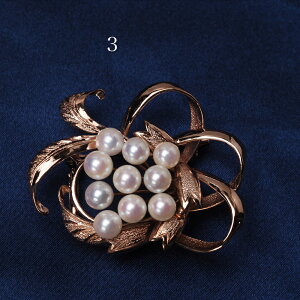 Vo[925 AR{^ }`p[ u[` їp sNS[h  Ԃ 傫 I Î  w Ǝ ig JWA SV Mtg v[g {