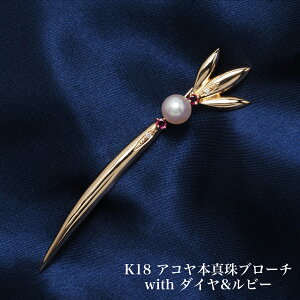 K18 AR{^ u[` _Ch & r[ p[ 18CG[S[h 傫 Ԃ  t[ I tH[} ig Mtg v[g {