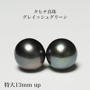 ^q`^ sAX OCbVO[ 13.5mm/Z~Eh COɂύX p[ Vv 傫 Ԃ Mtg v[g JWA ig tH[}  