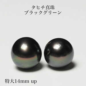 ^q`^ sAX ubNO[ 14mm up/Z~Eh COɂύX p[ Vv 傫 Ԃ Mtg v[g JWA ig tH[}  j