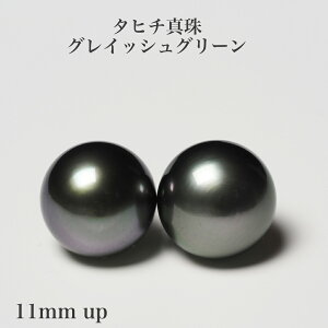 ^q`^ sAX OCbVO[ 11mm up/obNEh COɂύX p[ Vv 傫 Ԃ Mtg v[g JWA ig tH[} jZbN