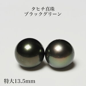 ^q`^ sAX ubNO[ 13.5mm up/Z~Eh COɂύX p[ Vv 傫 Ԃ Mtg v[g JWA ig tH[}  j