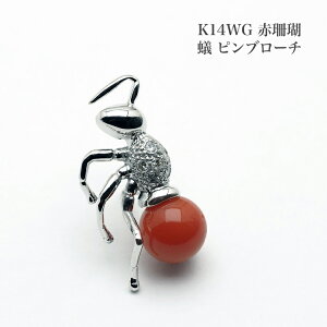 K14WG ԎX a su[` ys ^C^bN  TS 14zCgS[h I  Ԃ jZbNX Mtg v[g {