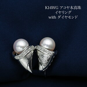 K14WG AR{^ fUC CO lWol p[ 14zCgS[h CO X^bh I 傫 Ԃ  tH[} ig Mtg v[g {