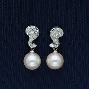 K14WG AR{^ fUCsAX p[ sAX 14zCgS[h h Ԃ牺  I  tH[} {