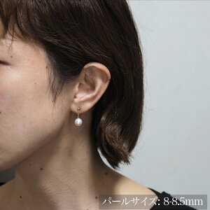 K18 AR{^ `F[sAX p[ 18CG[S[h K18YG h Ԃ牺 傫 Ԃ Z Vv fB[X Mtg v[g ig JWA {