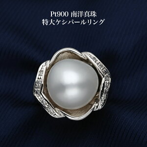 v`i900 m^ PV O p[ w Hq zCg 傫 Ԃ 13 TCY Mtg v[g {