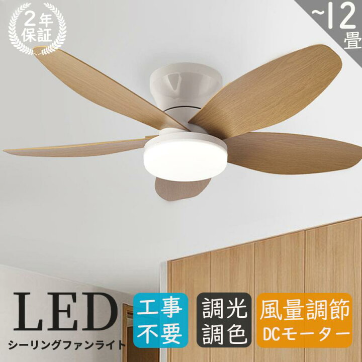 楽天市場】＼セール続き10％オフ！／【2025新登場・5枚羽根 