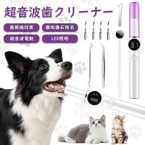 ybgo@ puV gN[i[ USB[d 5[h߉ LEDƖ N[jOLbg uV uV^ LpuV LuV g IPX7h LE