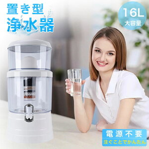 浄水器 置き型浄水器 ろ過器 据置型 活性炭ろ過フィルター ウォーターサーバー 水道水 卓上 交換用フィルターカートアクアシステム 浄水器フィルター 浄水カートリッジ 浄水器 pfas 除去 カ