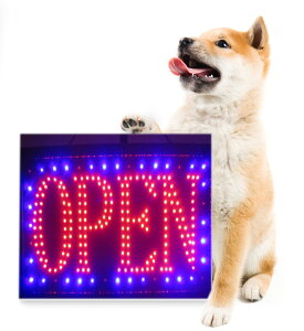 []@Ŕ@Ŕ@ŔXܗp@ŔX@ŔLED@ŔI[v@ LEDdŔ@@₷Ŕyz@JXMtgi@JƂji@ߓd