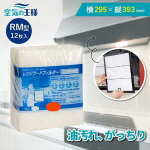 _r[ł܂L^ 295×c393 Wt[htB^[ RM 12 C tB^[ tȒP WtB^[ Jo[    Lb`  Jbgsv sv 