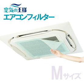 【11日迄★ポイント10倍】 エアコンフィルター 天井埋込エアコン用 AT254フィルター Mサイズ [600mm×600mm] 6枚入 抗菌 防カビ 消臭 ホコリとり 空気の王様
