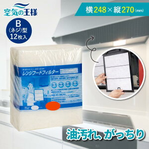 _Iׂgr[ł܂L^ 248×c270 Wt[htB^[ BlW 12 C tB^[ tȒP WtB^[ Jo[    Lb`  Jbg