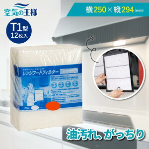 _Iׂgr[ł܂L^ 250×c294 Wt[htB^[ T1 12 C tB^[ tȒP WtB^[ Jo[    Lb`  Jbgsv 