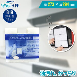 _r[ł܂L^ Wt[htB^[ B19ol^  273 × c 294 mm 12 pWt[htB^[ CtB^[ WtB^[ Wt[h tB^[ C tB
