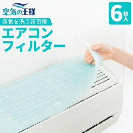 【ポイント10倍★11日迄】 抗菌 ウイルス エアコン フィルター 6枚入 380 × 800 mm 家庭用 エコサイズ 抗ウイルス 抗カビ 消臭 高機能 クリーンフィルター エアコン用フィルター 貼るだけ 節電 防汚 花粉 花粉症 花粉対策 アレルギー対策 ほこり 集塵 ホコリ 対策