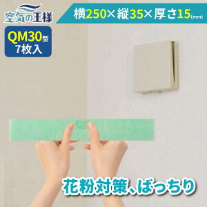 _ KtB^[ r[ł܂L^  250 × c 35 ×  15 CtB^[ QM30 7 C C zC C C zC tB^[ PM2.5 R RECX hJr L t