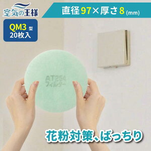 y16|Cg10{z _ KtB^[ r[ł܂L^ a 97 ×  8 CtB^[ QM3 20 C C zC C C zC tB^[ PM2.5 R RECX 