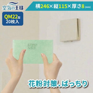 y16|Cg10{z _ KtB^[ r[ł܂L^  246 × c 115 ×  8 CtB^[ QM22 20 C C zC C C zC tB^[ PM2.5 R RE