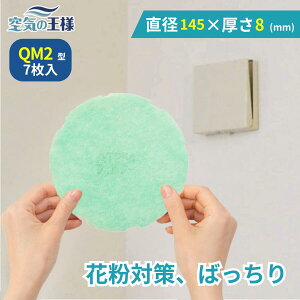 y16|Cg10{z _ KtB^[ r[ł܂L^ a 145 ×  8 CtB^[ QM2 7 C C zC C C zC tB^[ PM2.5 R RECX 