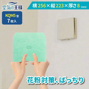 y11|Cg10{z _ KtB^[ r[ł܂L^  256 × c 223 ×  8 CtB^[ QM5 7 C C zC C C zC tB^[ PM2.5 R REC