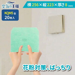 y16|Cg10{z _ KtB^[ r[ł܂L^  256 × c 223 ×  8 CtB^[ QM5 20 C C zC C C zC tB^[ PM2.5 R REC