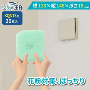 y16|Cg10{z _ KtB^[ r[ł܂L^  133 × c 148 ×  15 CtB^[ QN13 20 C C zC C C zC tB^[ PM2.5 R RE