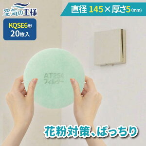 y11|Cg10{z _ KtB^[ r[ł܂L^ a 145 ×  5 CtB^[ QSE6 20 C C zC C C zC tB^[ PM2.5 R RECX 